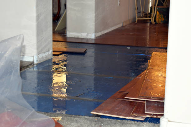 Professional Water Damage Repair technician working in Long Bottom, OH